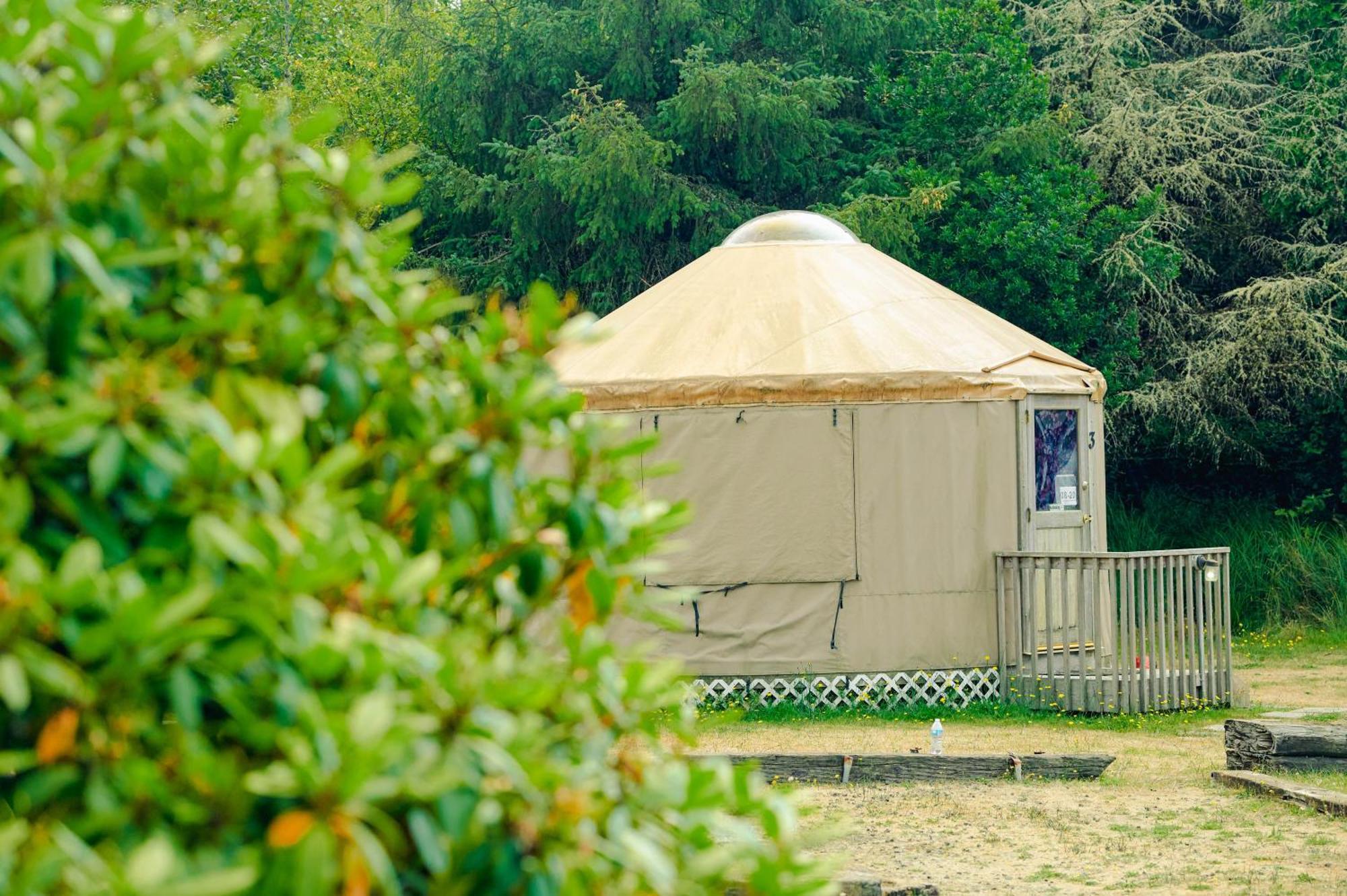 Long Beach Camping Resort Yurt 8 Oceanview Rom bilde
